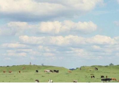 蛇跑兔子窜歇后语