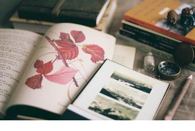 额身上的水歇后语