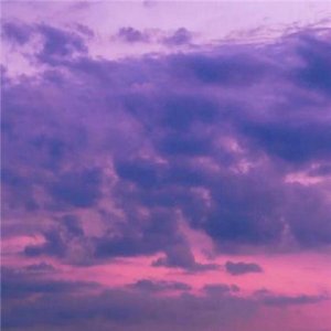 ​动物的拟人句有哪些(用小花写一句拟人句)