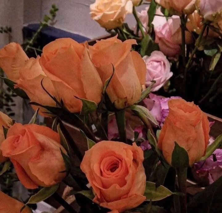 老板发红包微信感谢语(过年收红包的感谢文案)