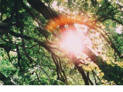 四年级歇后语造句大全