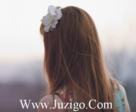 正能量早上发朋友圈早上发朋友圈的句子(精选17句)