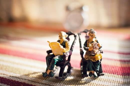 二年级说说一种小动物