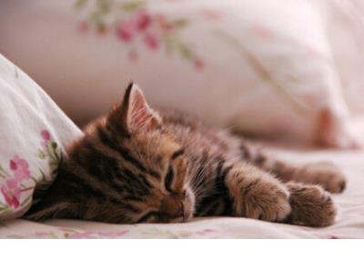 女人励志早安心语配图