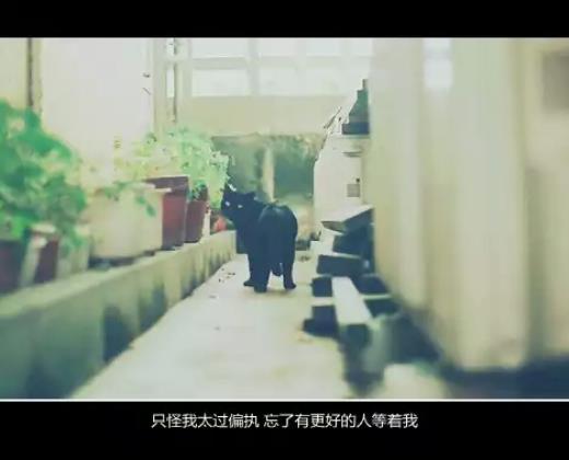 励志回家过年标语