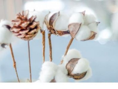 ​加班的励志心情短语 加班的心情说说幽默