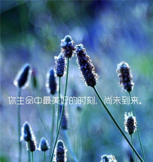 加班的励志心情短语