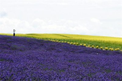 ​说说心情短语人生感悟2023