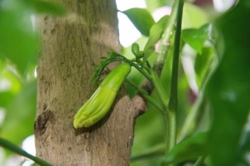 工作感悟心灵鸡汤