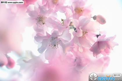 抖音说说大全经典说说