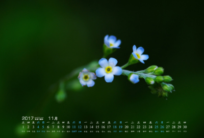 新年寄语2025简短励志