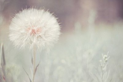 ​堕落的心情签名79句