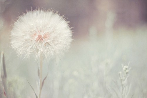 堕落的心情签名79句