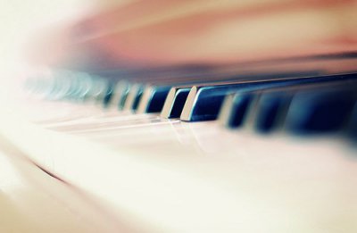 ​赏油菜花的心情句子描写油菜花的好词好句(42句)