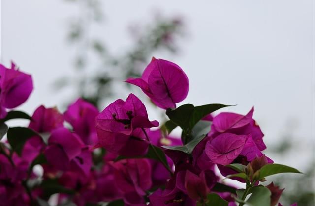 适合发朋友圈的洒脱的句子 简单随意洒脱的一句话(精选63句)