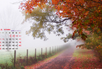 ​关于进入大学对自己说的话大全（精选）