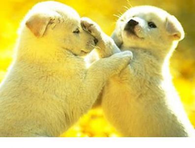 ​发微信朋友圈的早安心语和图片