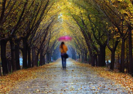 怀孕心累的朋友圈说说心情短语