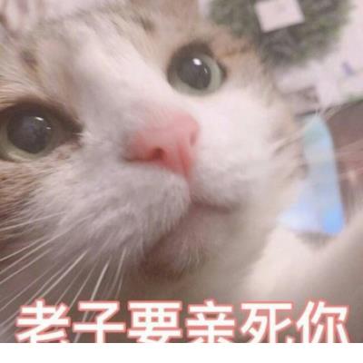 怀孕心累的朋友圈说说心情短语