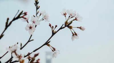 ​晚安心语经典