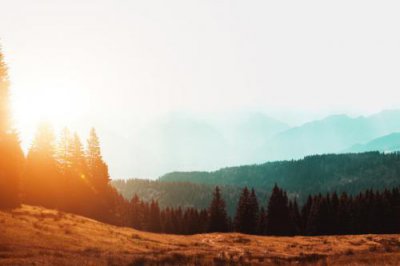 ​形容心情不好的优美句子