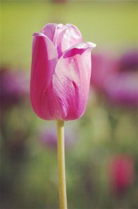 ​心得分享的正能量句子（21句正能量的精辟语录）