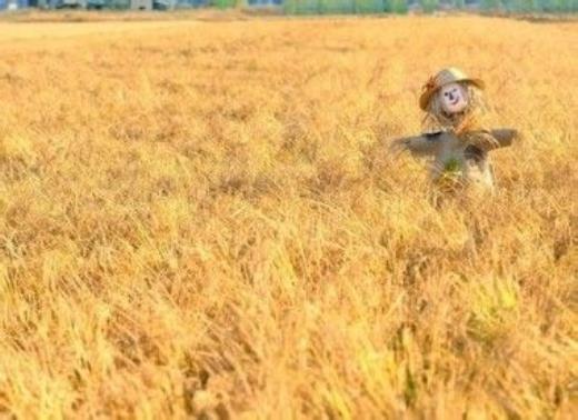 描写四月的优美句子