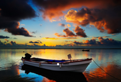 ​独特的经典句子(57句)