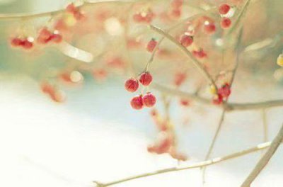 ​原耽中惊艳世俗的句子惊艳了世人的原耽文案(47句)