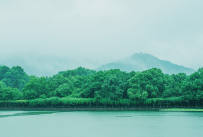 ​深夜怎么造句子一年级(精选49句)