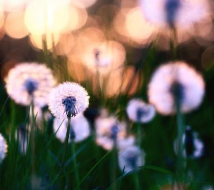 关于话工作心情语录