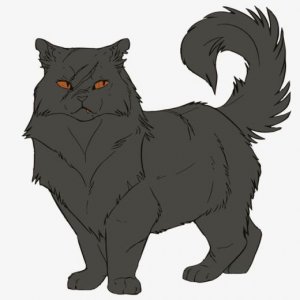 ​工作正能量语录话 关于话工作心情语录