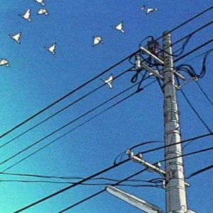 ​感悟（人生感悟经典句子简短）