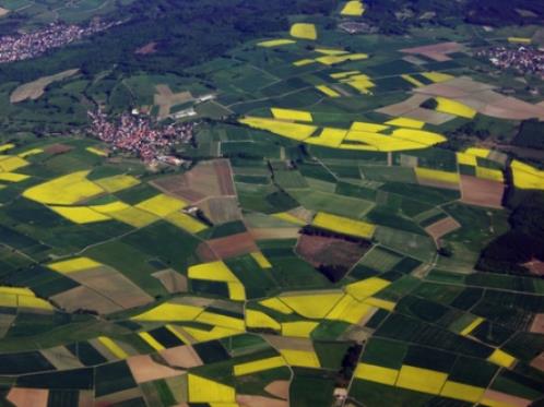 别人不爱你的说说