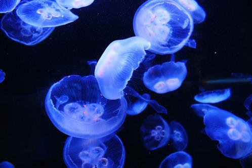 别人不爱你的说说