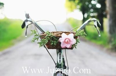 ​书籍里的经典名句摘抄值得摘抄的神仙句子(精选50句)