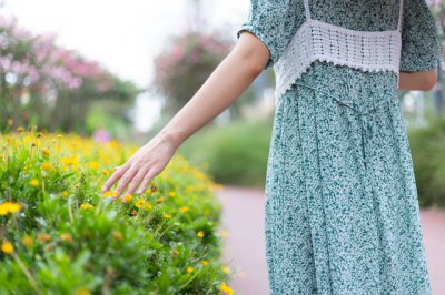 ​赵云的马叫什么 揭秘赵云骑的什么马