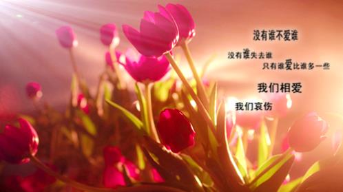 朋友圈说说的好句子阳光