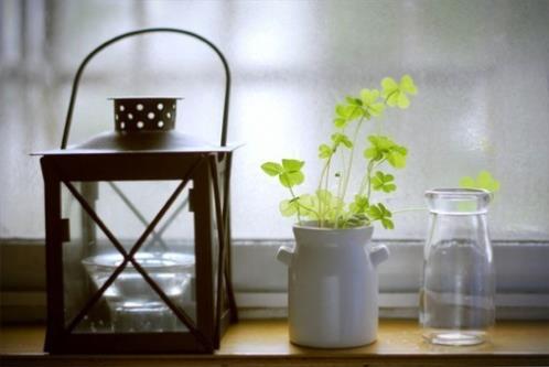 朋友圈说说的好句子阳光