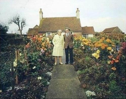 放下后好好生活的说说