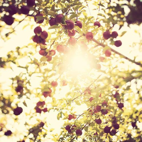 放下后好好生活的说说