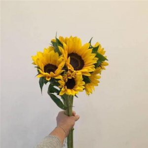 ​话最能温暖人的心 夫妻平淡而幸福的句子