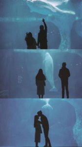 ​情感语录人生感悟(简单生活心态的句子)