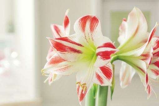 再苦再累也要坚持的励志说说(52句)