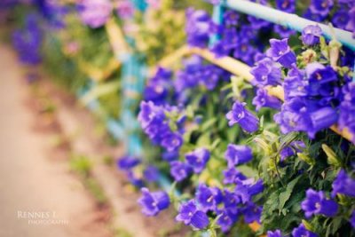 ​圣诞节送孩子礼物说说 关于圣诞节的幽默朋友圈说说