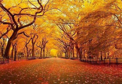 ​一个人品茶的心情句子