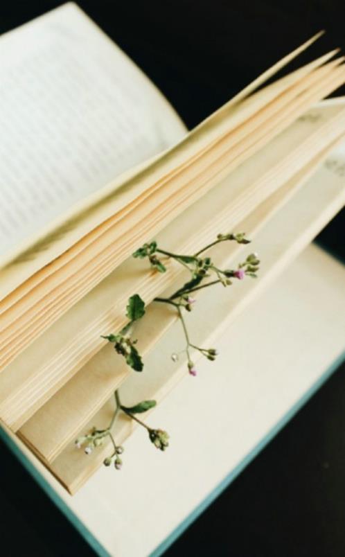 喝清炖鸡汤发朋友圈的说说