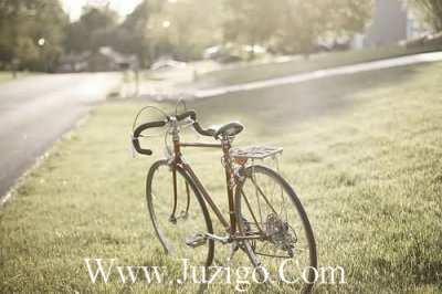 ​写文的谚语67句