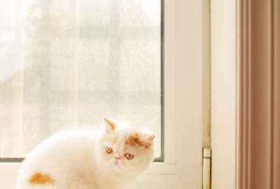 ​适合吃小龙虾发的文案 夏天啤酒小龙虾短句67句