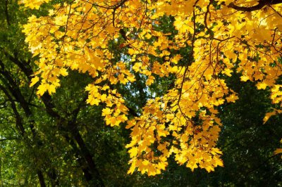 ​关于九月的唯美句子浪漫文案｜|＂秋风明月，人间九月。＂